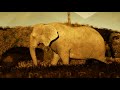 The march of the elephants cinematic make with unreal engine 4