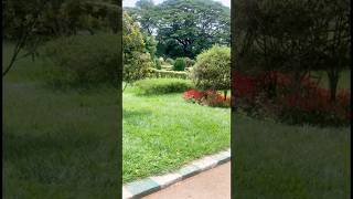 India’s garden city#types of flowers#beautiful #travel #youtube #shorts