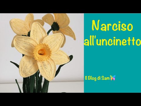 Vídeo: Como Chegar Ao Vale Dos Narcisos