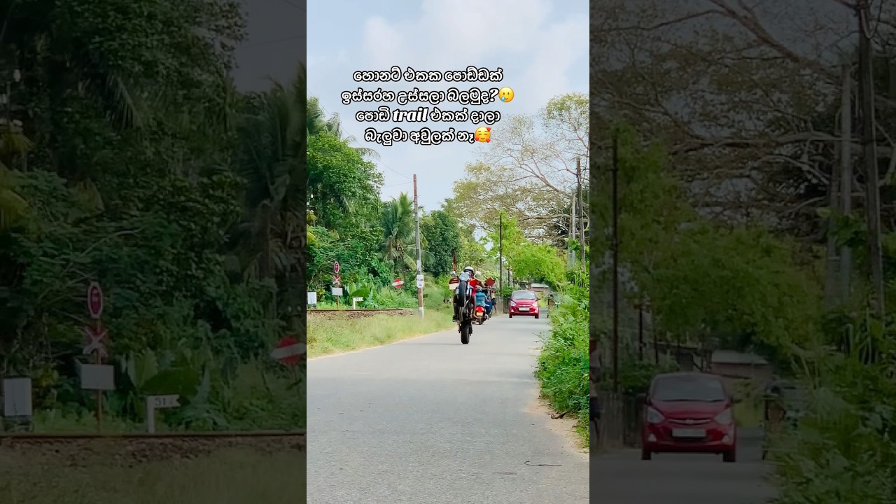 පොඩ්ඩක් ආසාවට උස්සලා බැලුවා දැන් ඉතින් හොනට් කනවා කියල බැනගෙන එයි😑 #bikelover #rider #bikelife