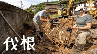 japan countryside house renovation