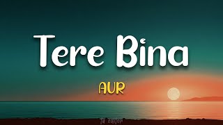 Tere Bina - AUR | Lyrics 