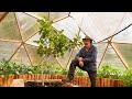 Water, Fruit Trees and Wildlife in an Off-grid Greenhouse