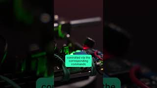 Building a hacking device WiFi Pineapple #shorts