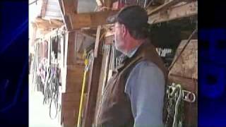 Westmoreland County Barn Collapse Traps Horses