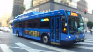 Santa Monica's Big Blue Bus 2014 Gillig BRT CNG 40' #1353
