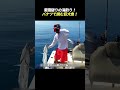 常識破りの海釣り！ バケツで挑む巨大魚！