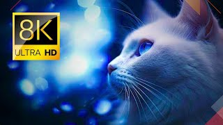 "Mesmerizing 8K HDR Cat Spectacle: Ultra-Quality Feline Marvels"