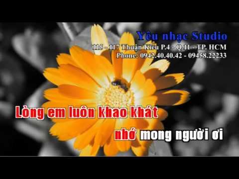 KARAOKE Giấc Mơ Có Thật   Lệ Quyên