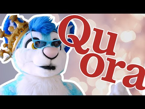 furries-answer-questions-about-them-on-quora