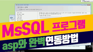 MSSQL 강의 기초부터 실습 위주의 교육