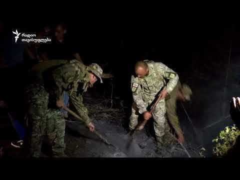 ხანძრები, ჯარი და დივერსიის ალბათობა