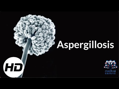 Video: Hvad er Aspergillus Alliaceus - Lær om stængel- og grenråd på kaktus