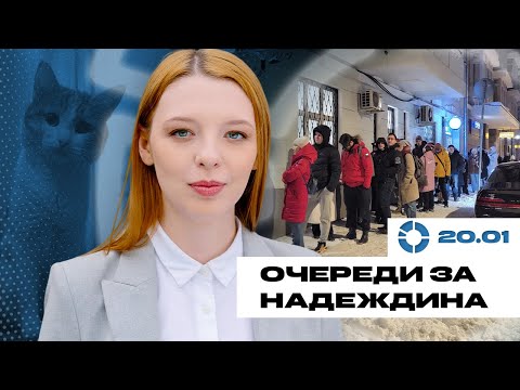 Очереди за Надеждина | Проводница выгнала кота Твикса | Чем вредна борьба с ЛГБТ | ЧС в Новосибирске