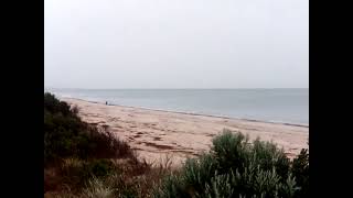 VID 20260824 113427 hendley beach and bushes panorama Update