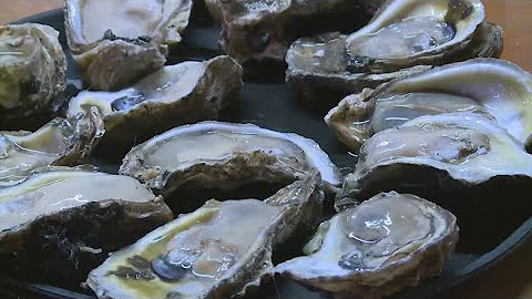 Galveston health officials say man died after eating raw oysters