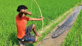 😲Unbelievable Bamboo Crossbow Fishing Technique 🥰Bow Fishing For Big Shoal Fish❤️Drean Fishing Video