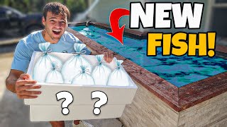 BUYING *NEW* EXOTIC FISH for My 3600G POND!! (crazy)