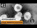 ЧТО ТАКОЕ КОРОНАВИРУС? ЧТО ТАКОЕ ВИ
