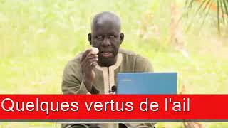 Sen wer gi yaram 445: Quelques vertus de lail YouTube Videos