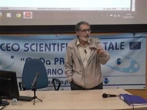 Video: Cos'è la simmetria e i suoi tipi in biologia?