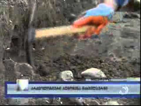 არქეოლოგიური აღმოჩენა სოფელ მახვილაურში