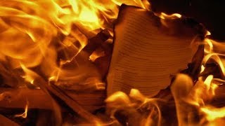 Paper Document Put In Fire - Generic Content | Stock Footage - Videohive
