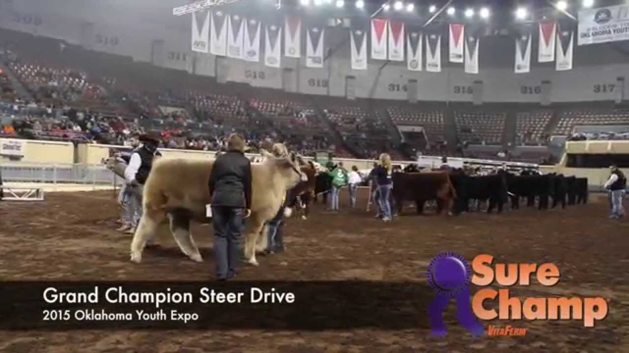 2015 Oklahoma Youth Expo Grand Steer Drive