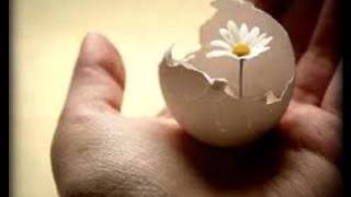 Loşişik Kader Gul Dedimi Ki̇ Şi̇i̇r Ümmühan Yazar