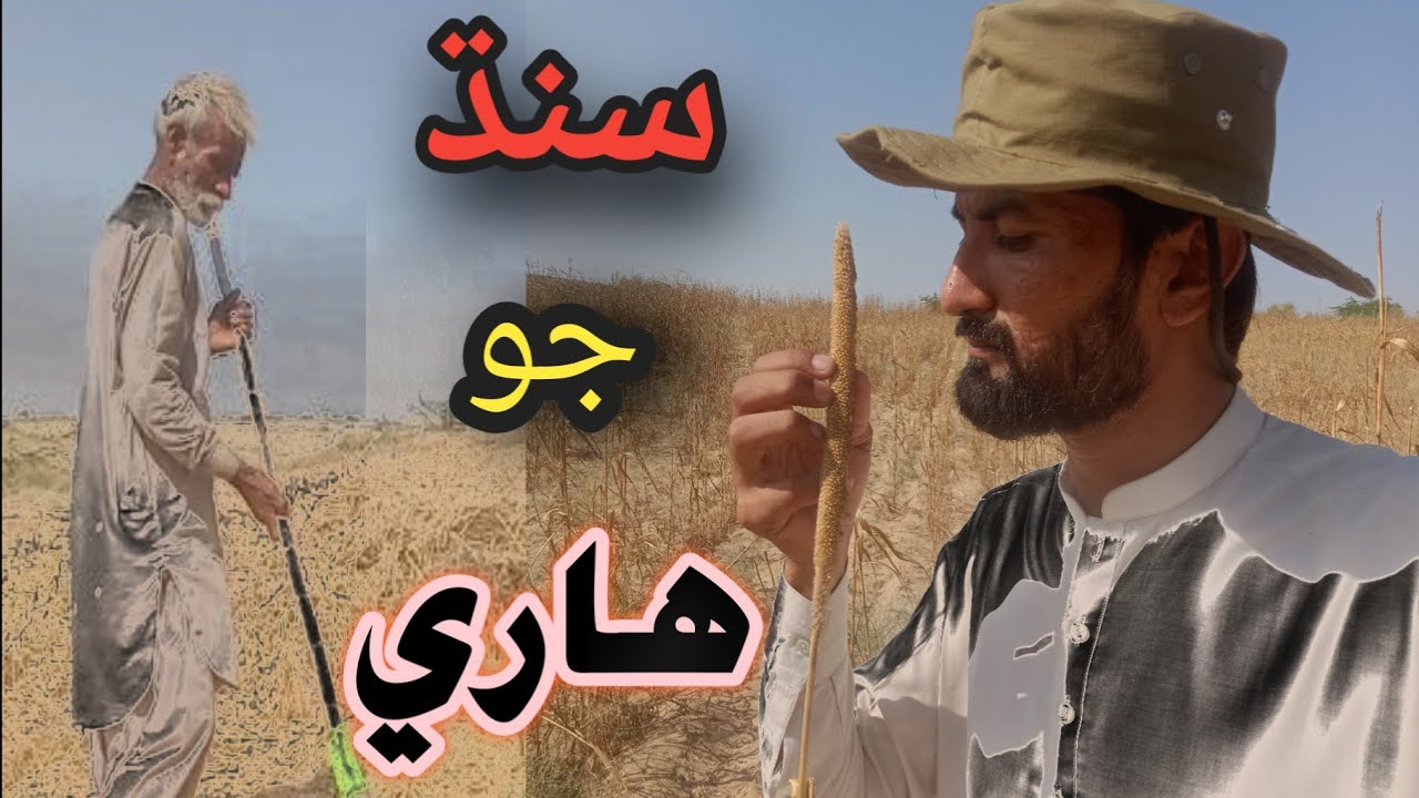 Farmers| Exploitation| Capitalism|Karl Marx|Pakistan and India|Socialism|USA|China|Cuba|Bangladesh 