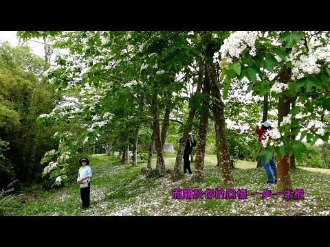 渡紅塵MV