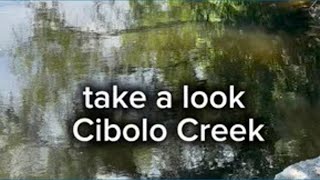 Cibolo Creek is filling up after recent rains