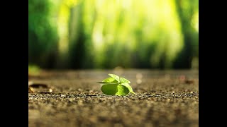 [ Piano Music, Relaxing Music, Inspirational Music  ]  Alex Tsikina - A silver lining