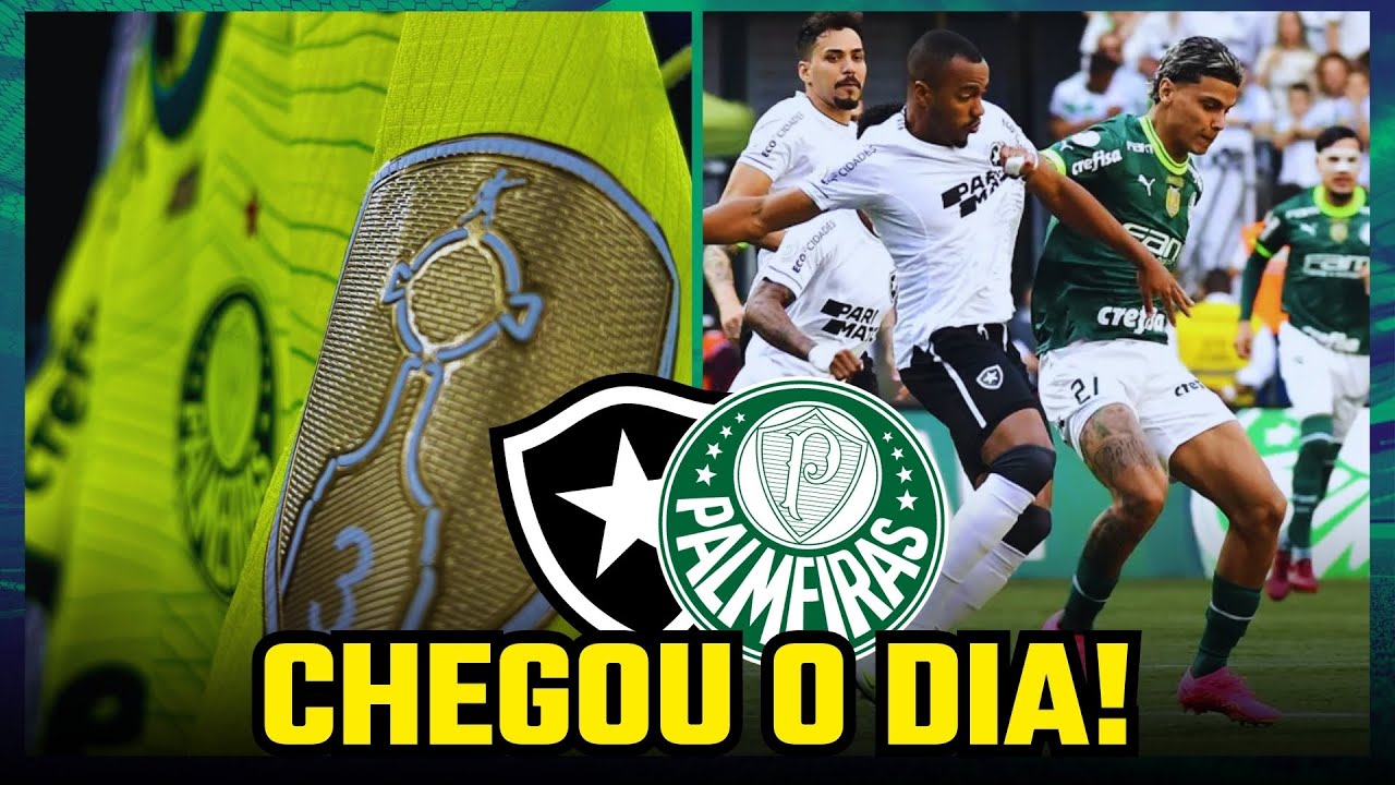 BOTAFOGO X PALMEIRAS | PRÉ-JOGO | LIBERTADORES 2024 - YouTube