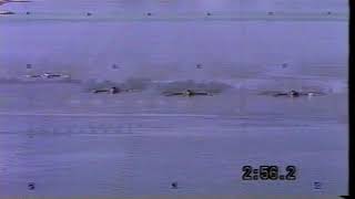 Men's Eight Rowing 1988 Seoul Repechage Heat 2 Australia Bulgaria Great Britain South Korea