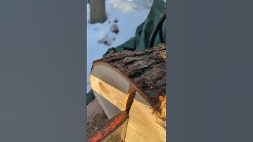 Satisfying Crisp Split of the Log! 🪵#shorts