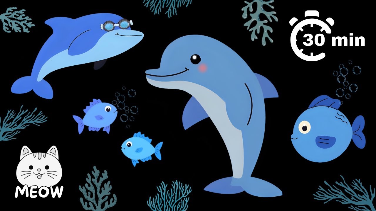 Dancing Dolphin Ocean Adventure🐬 Baby Sensory Video