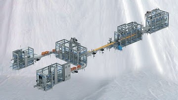 Fully automatic instant noodles bags packs counting feeding cartoning end packaging line 全自動方便麵包裝線