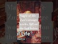 Magic of life #東方 #touhou #remix #zun