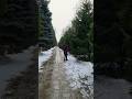 Almaty visa free for Indian #viral #travel #reel #nature #trend #vlog #travelvlog #love #marriedlife