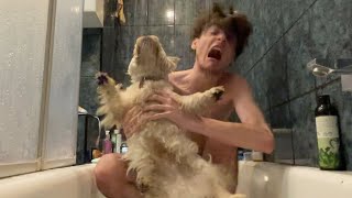 I'm washing the dog screenshot 5