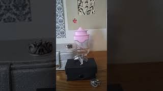 Picking Still Life Objects