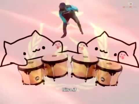 slavic-bongo-cat-10-hours