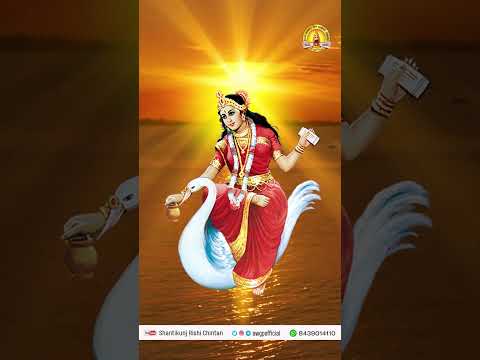 माता तेरे चरणों में स्थान जो मिल जाये। यह जीवन धन्य बने, वरदान जो मिल जाये ॥