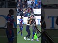 Spijuniro golubiro 👀🐦 #FCBasel1893