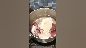 Thumbnail of Tips masak sotong agar tidak keras / alot. #sotong #tips #masak #fyp