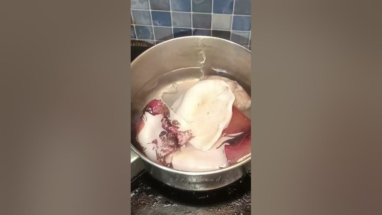 Tips masak sotong agar tidak keras / alot. #sotong #tips #masak #fyp