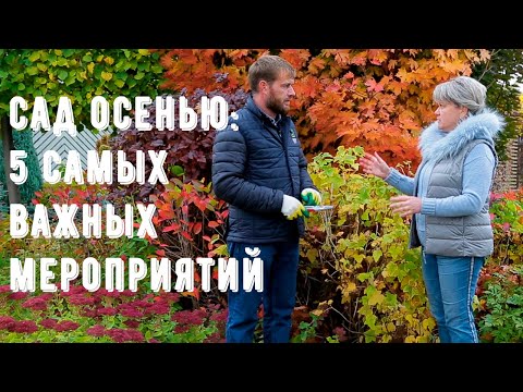 Видео: Осенние советы по садоводству: как подготовить сад к осени