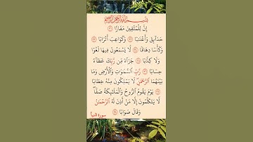 القرآن الكريم سورة النبأ صلاح بو خاطر #القرآن_الكريم #راحة_نفسية #اطمئن
