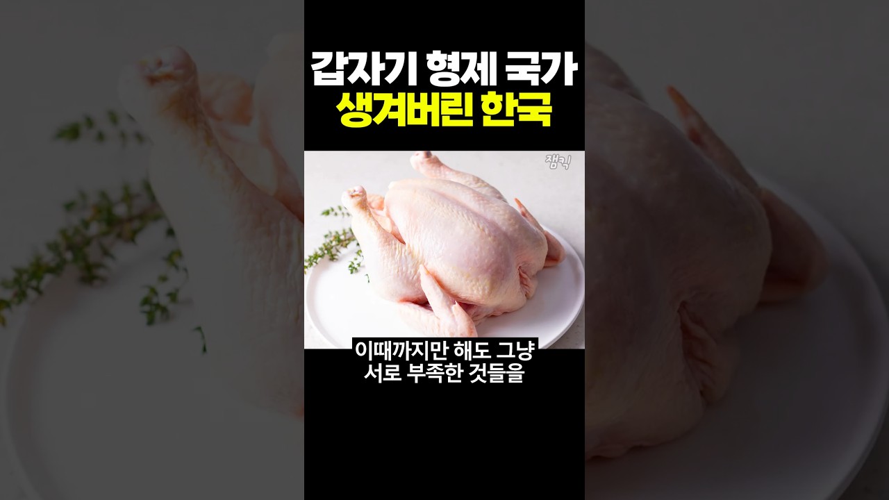 갑자기 형제국가 생겨버린 한국